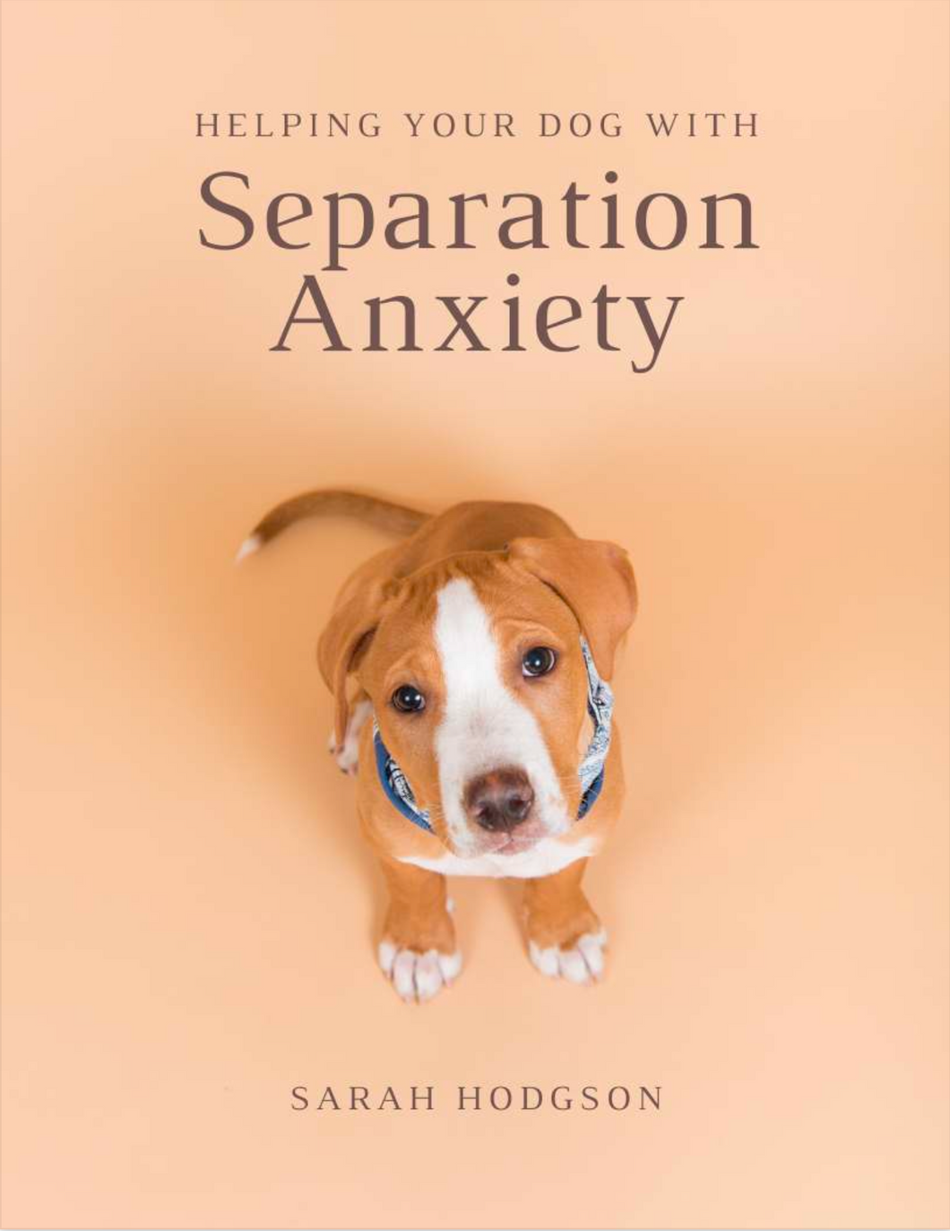 Helping Your Dog with Separation Anxiety Ebook