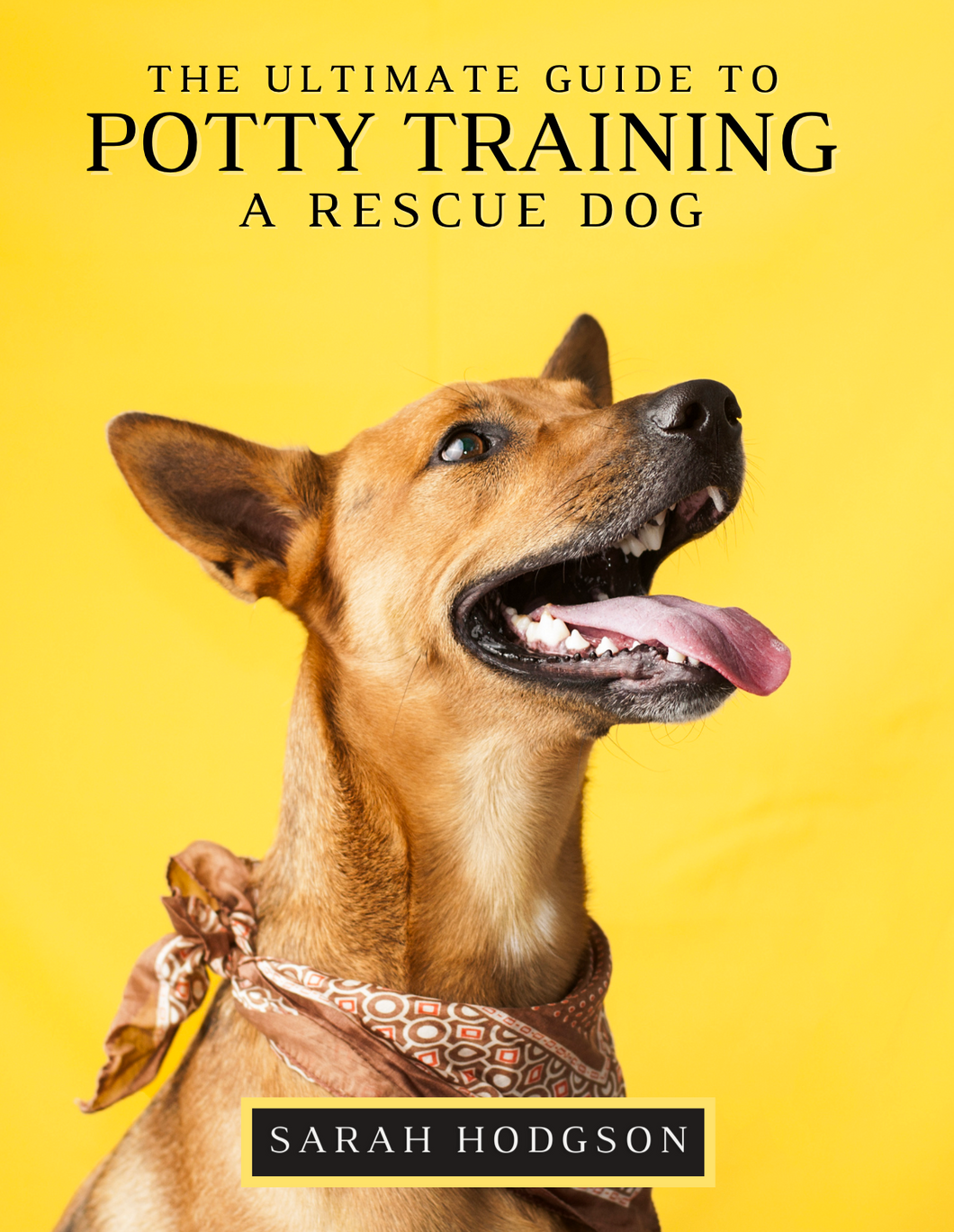 The Ultimate Guide to Potty Training a Rescue Dog Ebook