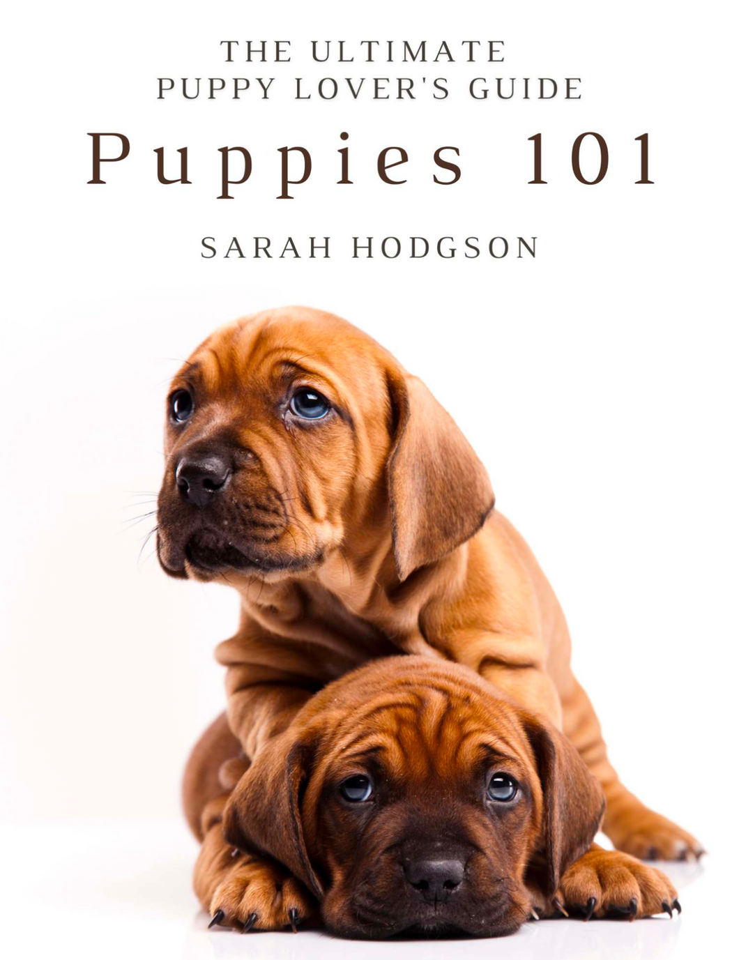 The Ultimate Guide to Puppies Ebook