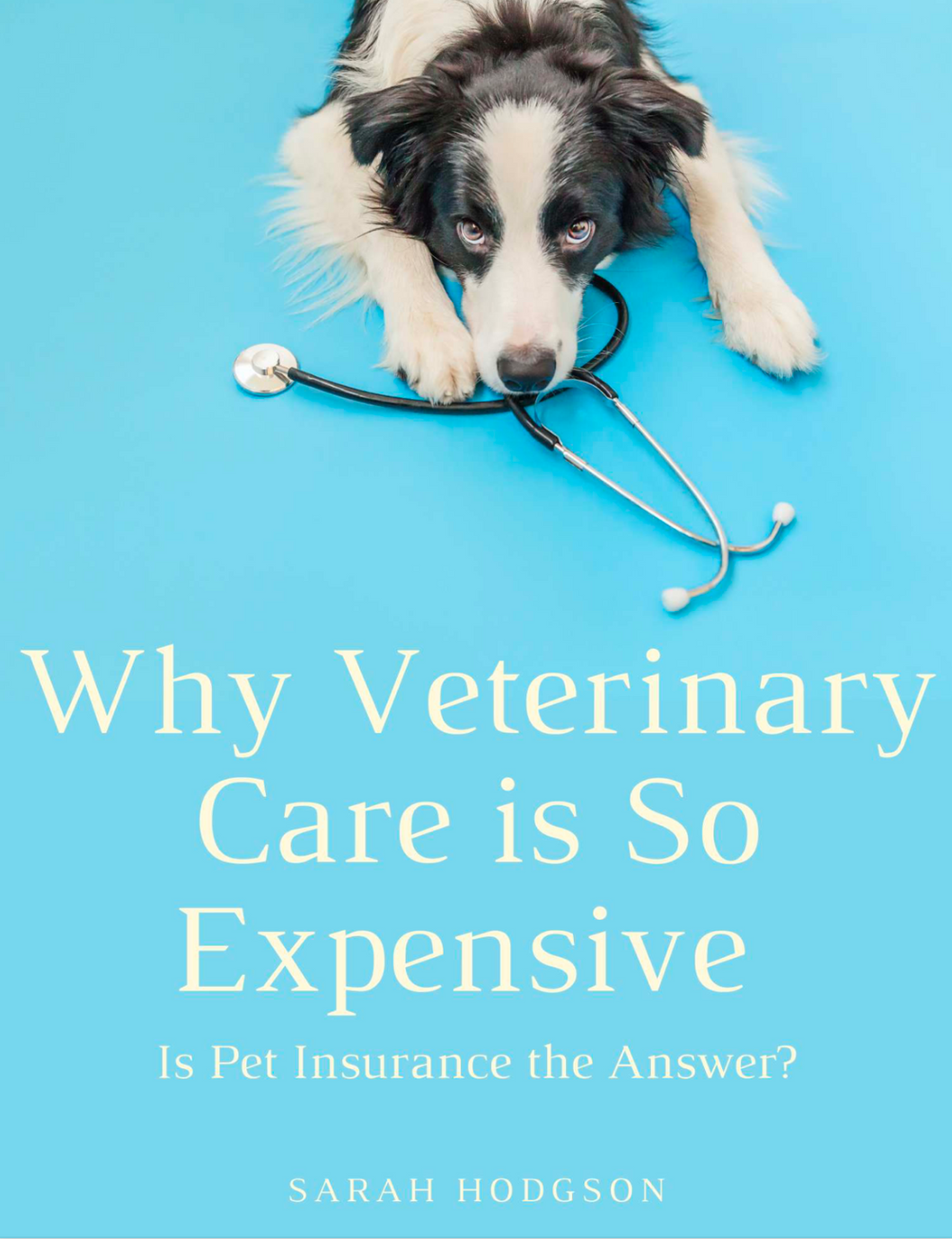 Why Veterinary Care is So Expensive Ebook